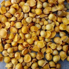 Ghepan Foods - Himalayan Pearl Garlic - Boost Immunity