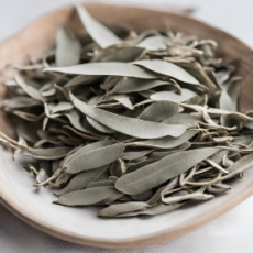 Ghepan Foods - Himalayan Sage dried leaves