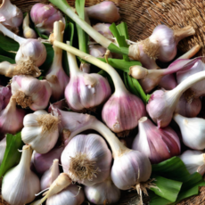 Ghepan Foods - Kodaikanal hill garlic