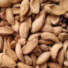 Ghepan Foods - Mamra Almonds from the majestic valleys of Kashmir