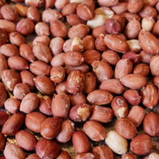 Ghepan-Foods-Organic-Peanuts